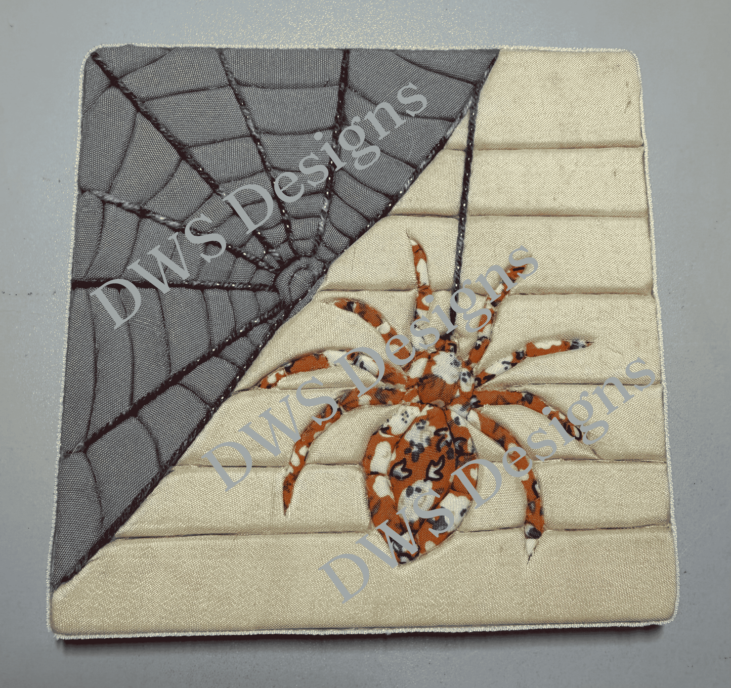 Animals Spider