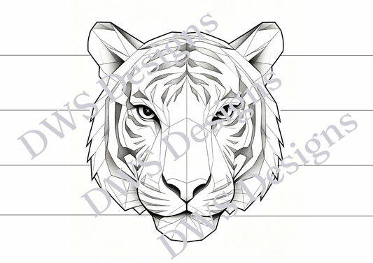 A4 Tiger Advanced