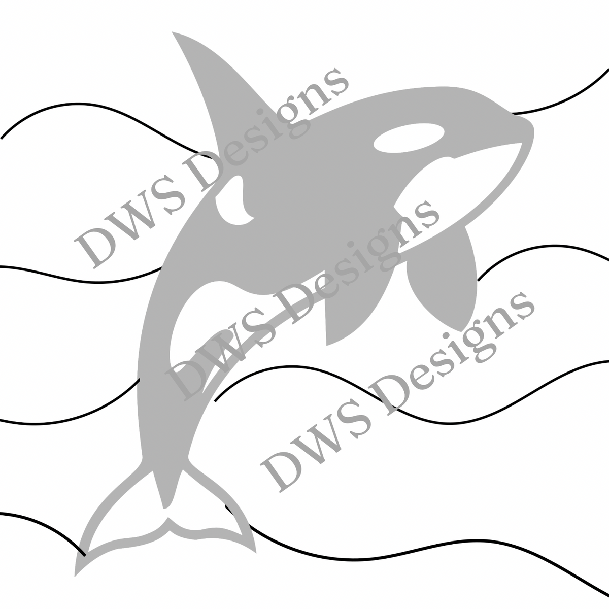 Orca Whale
