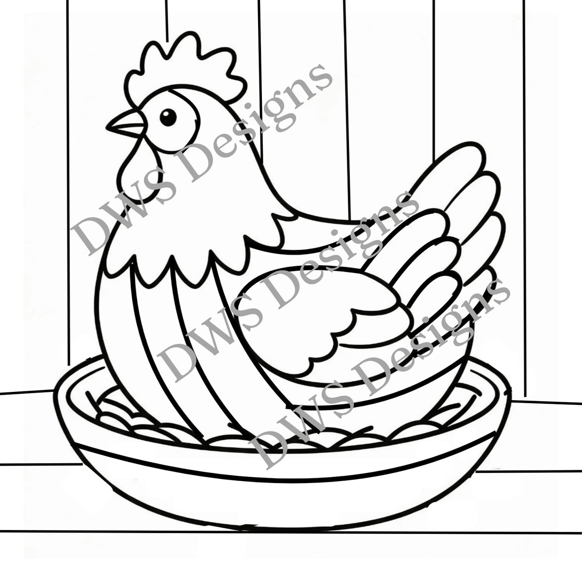 Animals Chicken