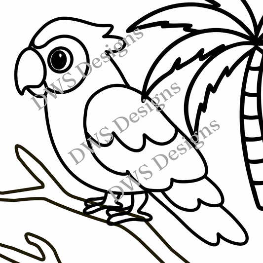 Animals Parrot
