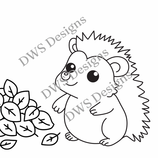 Animals Hedgehog