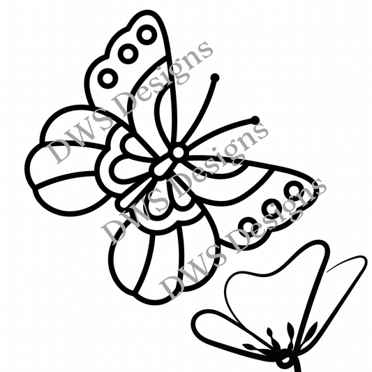 Animals Butterfly