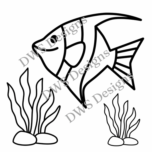 Animals Fish