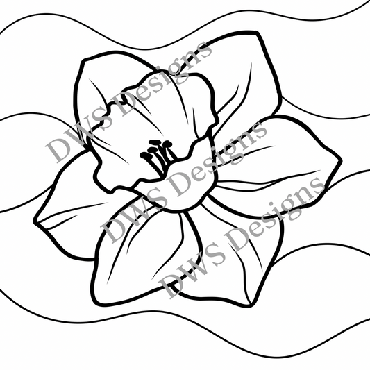 Florals Daffodil