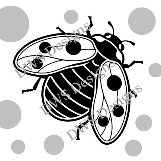 Animals Ladybird