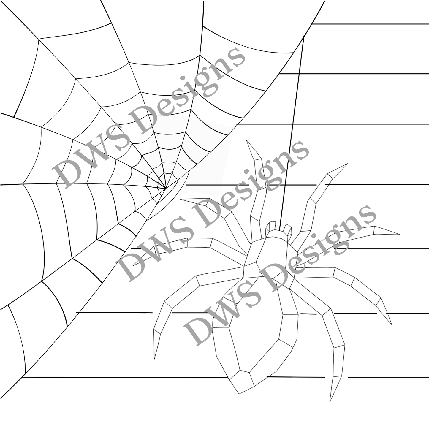 Animals Spider