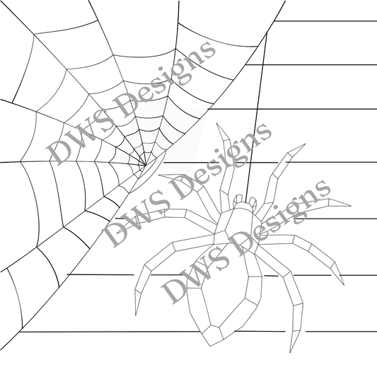 Animals Spider